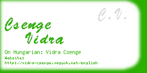 csenge vidra business card